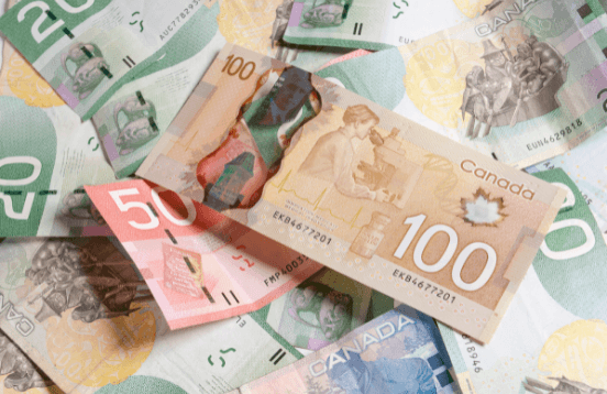 Copy of Copy of Copy of bay of quinte give away (800 x 418 px) (3000 x 1080 px) (3000 x 300 px) (3000 x 1080 px) (552 x 358 px) (13)