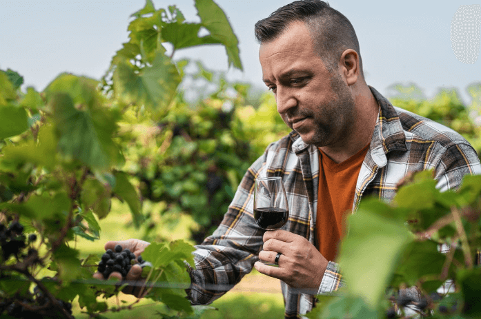 June's Industry Newsletter Image