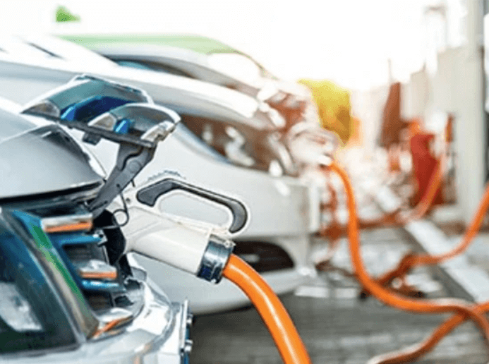 Pembroke Observer image