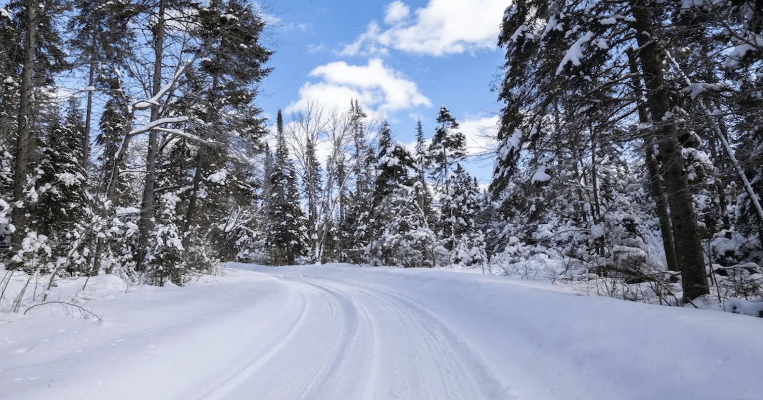 Curisocity Dec 4, 2024