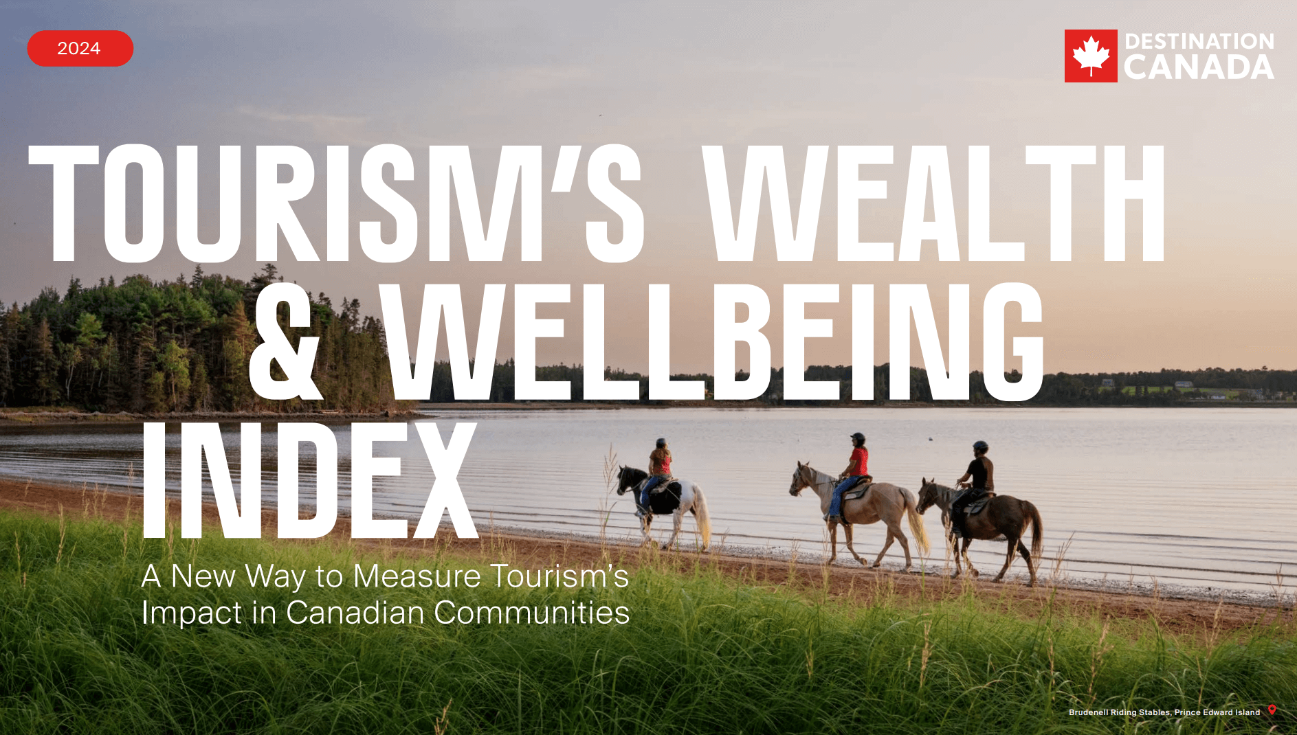 Wealth and Wellbeing Index