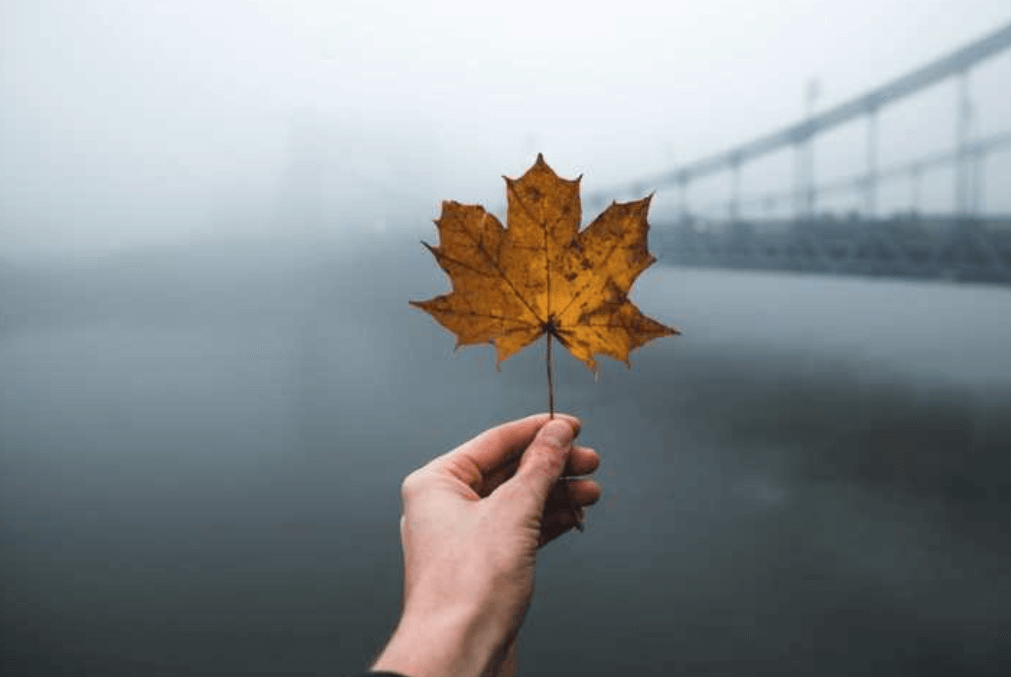 Newsletter Image Sept