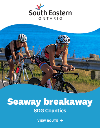 _SDG_Counties_Skyscraper_350x450